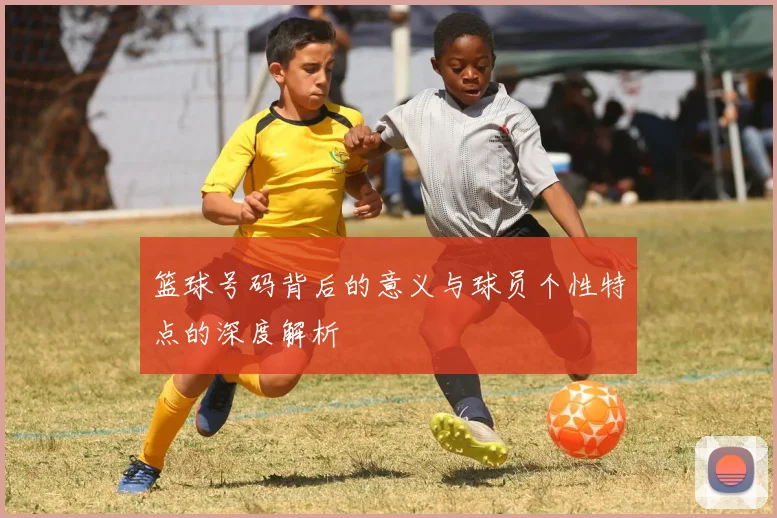 篮球号码背后的意义与球员个性特点的深度解析